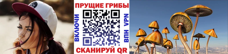 Псилоцибиновые грибы GOLDEN TEACHER  Купить закладки  Петров Вал 